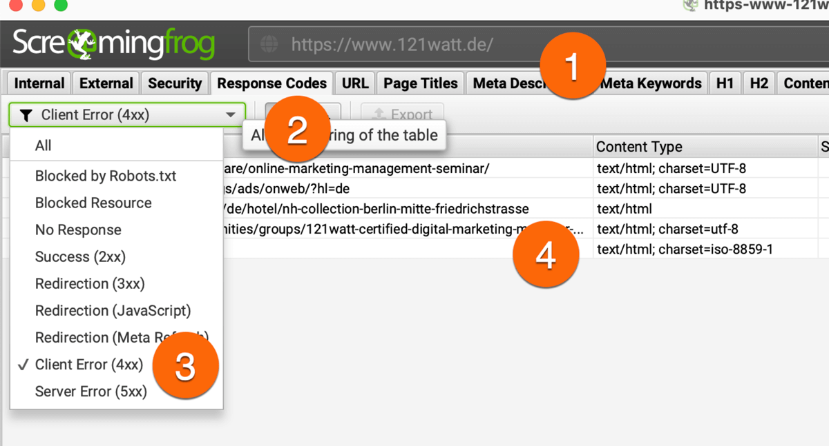 Interne 404 Fehler mit dem Screamingfrog analysieren