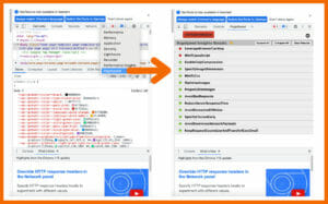 Screenshot aus den Page Speed Insights Extensions