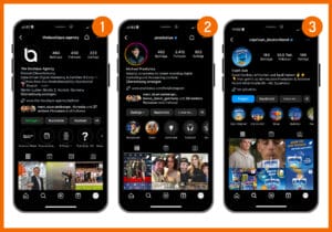Hier sind 3 verschiedene Instagram-Profile zu sehen. Die Boutique Agency verwendet ihr Logo als Profilbild, Michael Praetorius hat sein Portrait und Caprisun_deutschland hat ein modifiziertes Produktbild.
