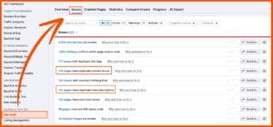 SEO Meta Tags - Site Audit Semrush Liste