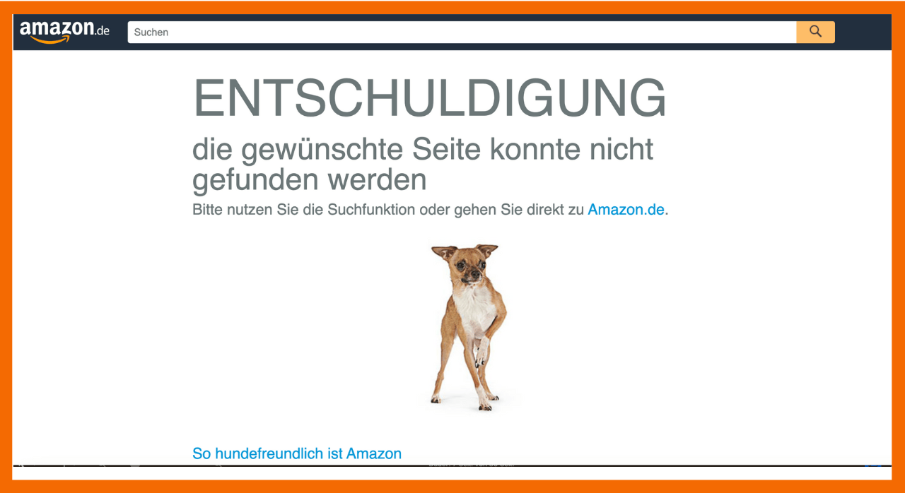 Der Screenshot zeigt die 404-Seite von Amazon.