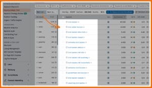 Hier siehst du eine Ausgabe des SEMrush Keyword Magic Tools